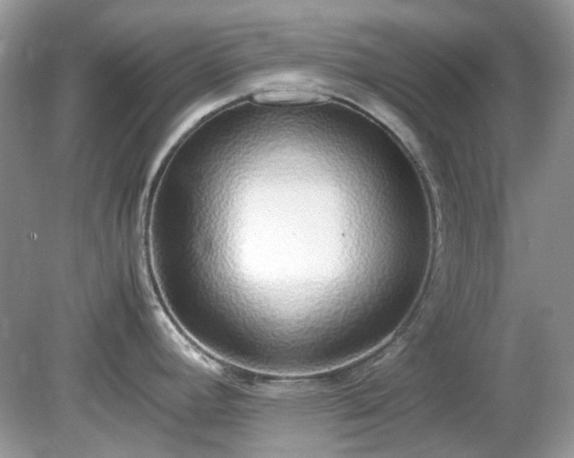 X0000079301392200611251702