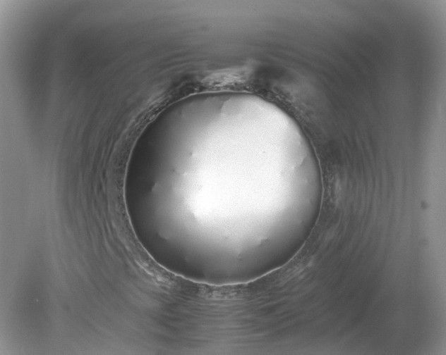 X0000079301393200611251701
