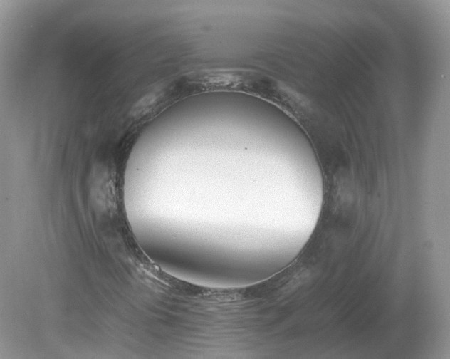 X0000079301394200611251701