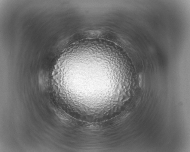 X0000079301395200611251701
