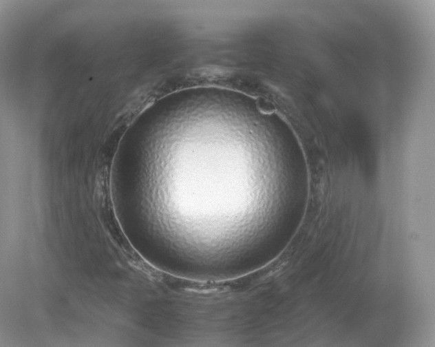 X0000079301397200611251701