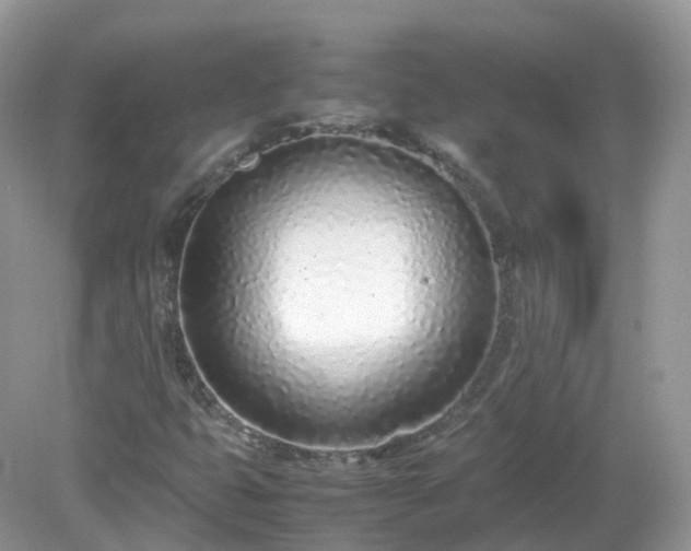 X0000079301399200611251701
