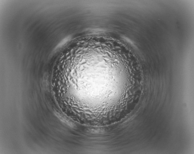 X0000079301403200611251701