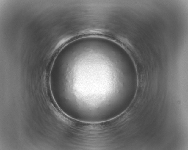 X0000079301404200611251701