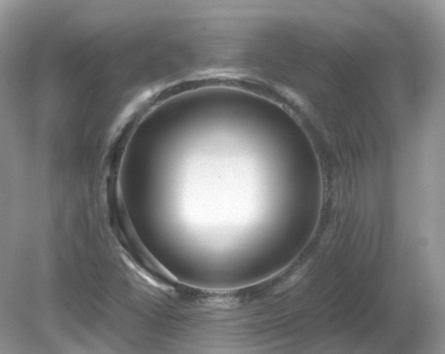 X0000079301406200611251701