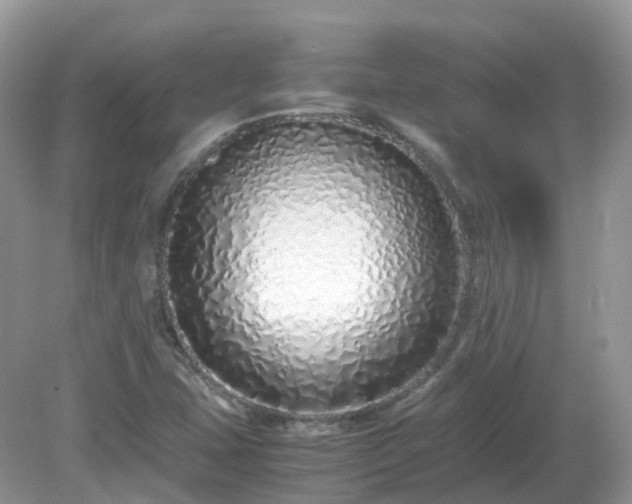 X0000079301407200611251701