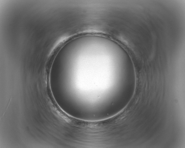X0000079301408200611251701