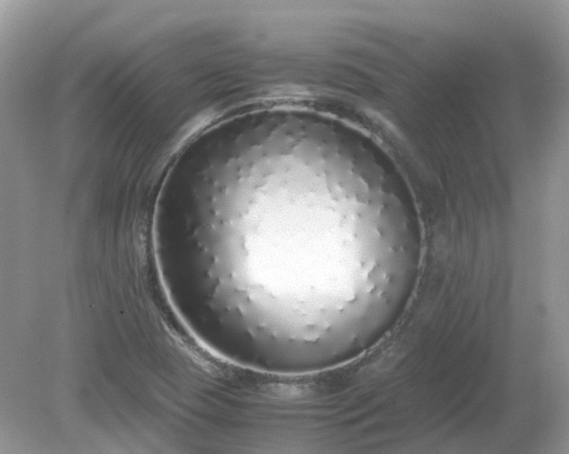 X0000079301409200611251701