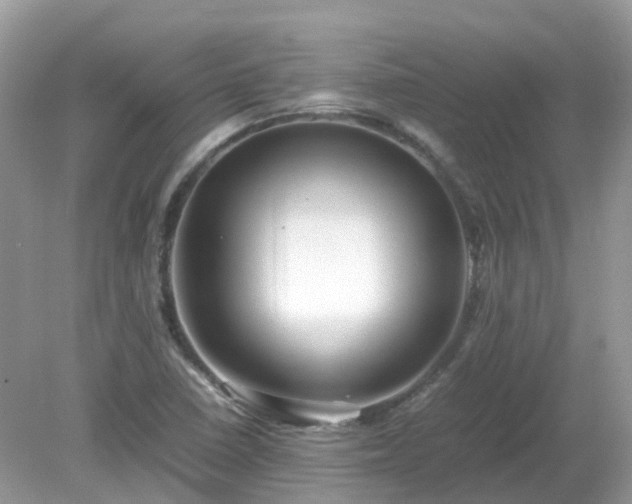 X0000079301410200611251701