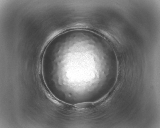 X0000079301413200611251701