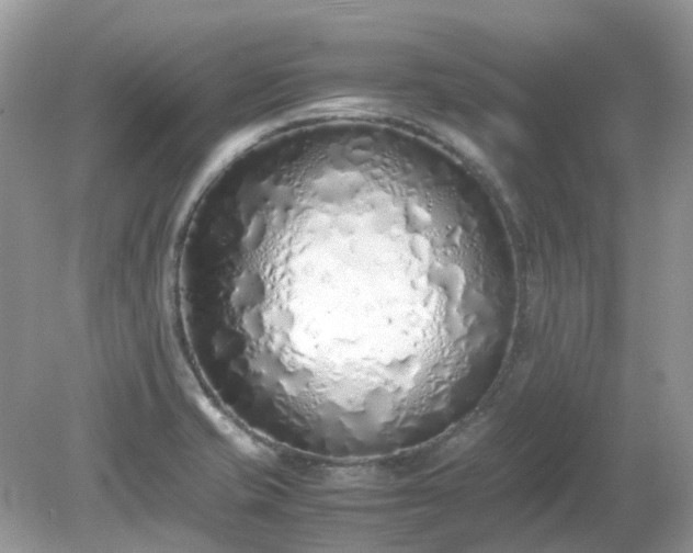 X0000079301421200611251701