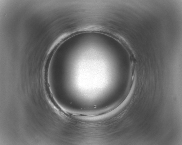 X0000079301422200611251701