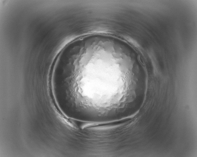 X0000079301423200611251701