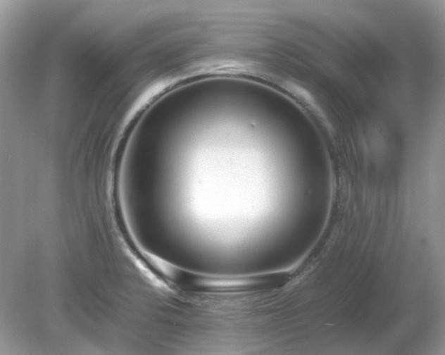 X0000079301424200611251701