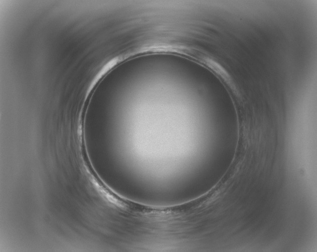 X0000079301428200611251701
