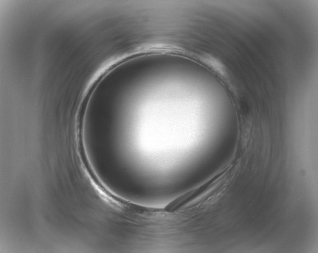 X0000079301430200611251701