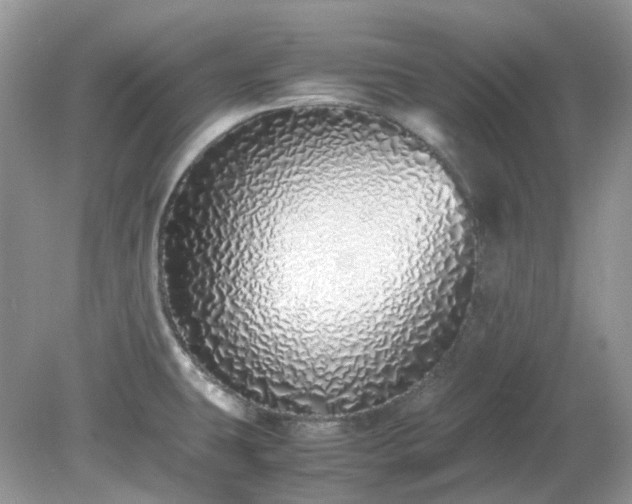 X0000079301431200611251701