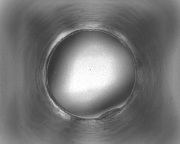 X0000079301432200611251701