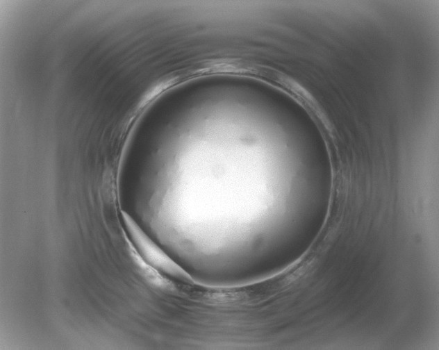 X0000079301433200611251701