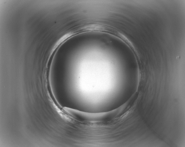 X0000079301434200611251701