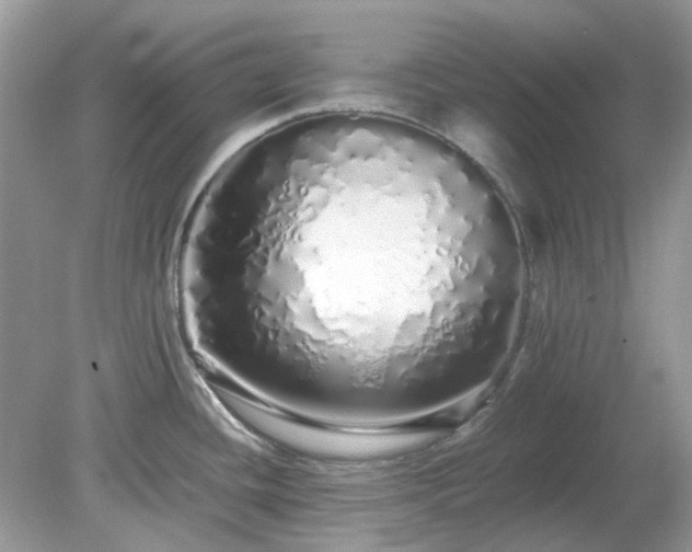 X0000079301436200611251701