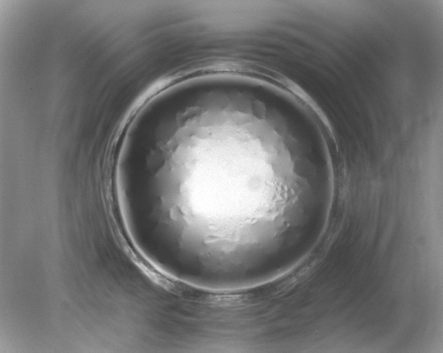 X0000079301437200611251701