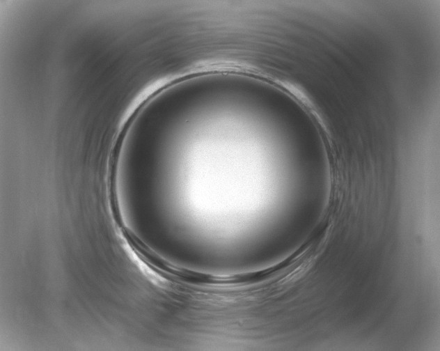 X0000079301438200611251701