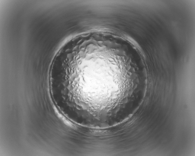 X0000079301439200611251701