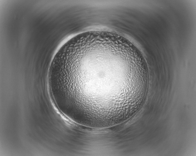 X0000079301440200611251702
