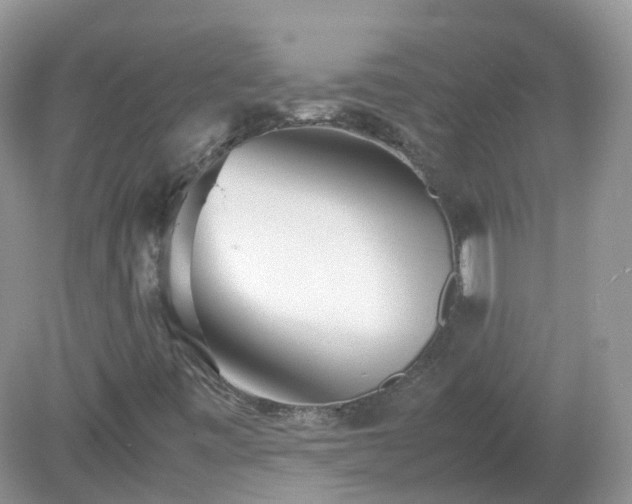 X0000079301443200611251701