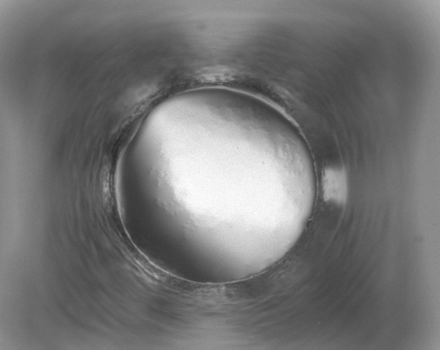 X0000079301444200611251701