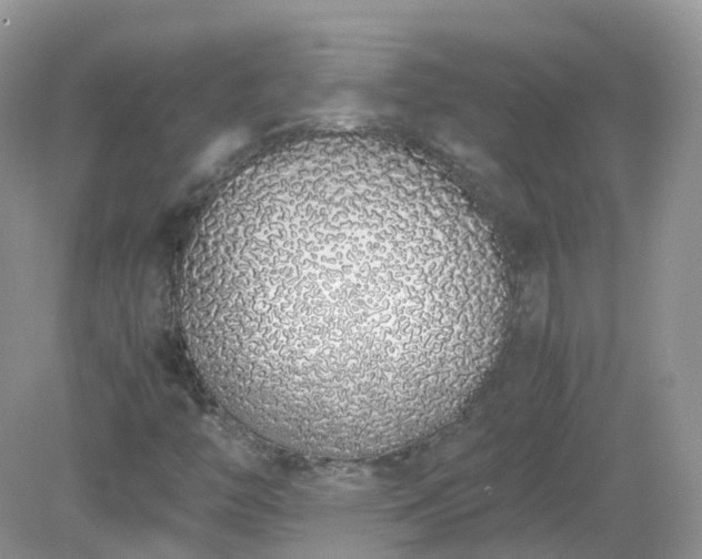 X0000079301446200611251701
