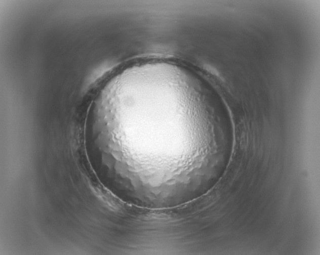 X0000079301448200611251701