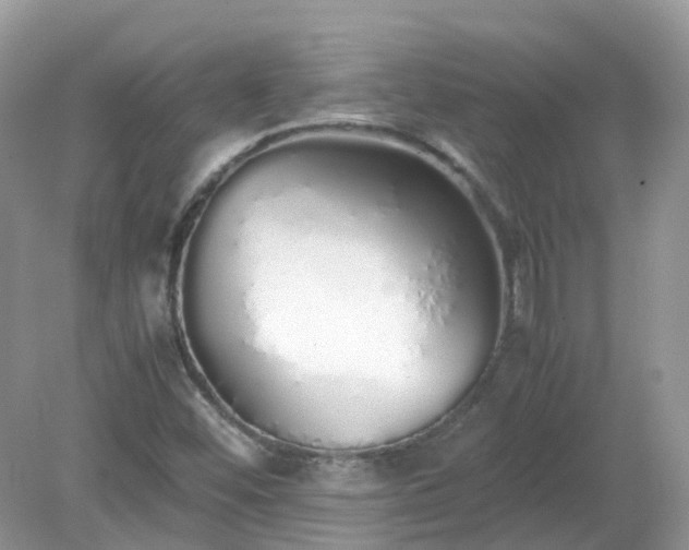 X0000079301452200611251701