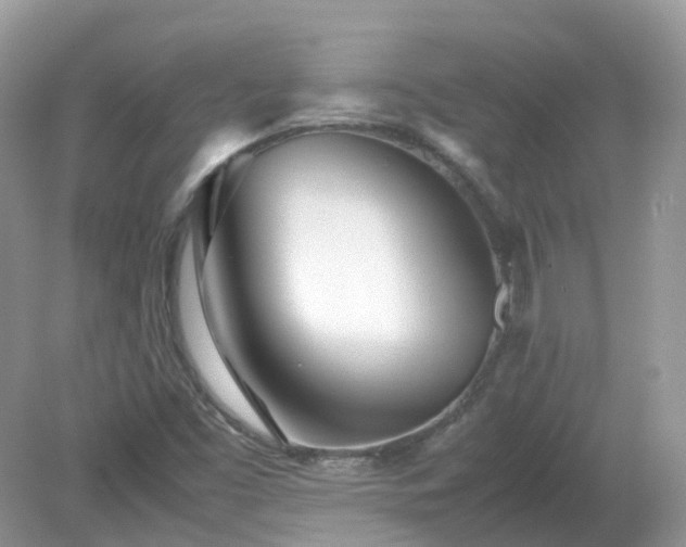 X0000079301453200611251700