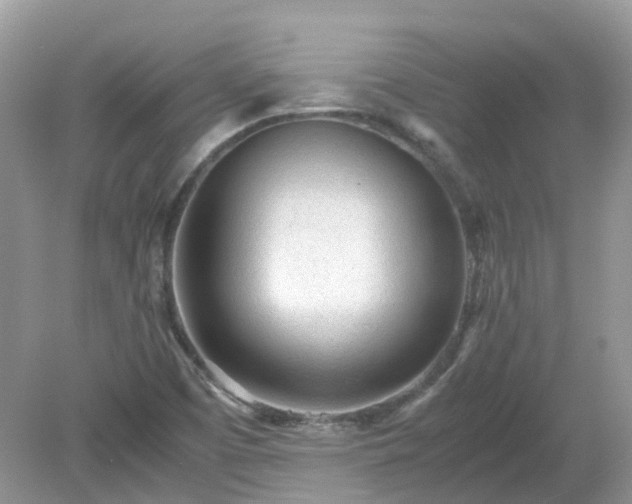 X0000079301457200611251700