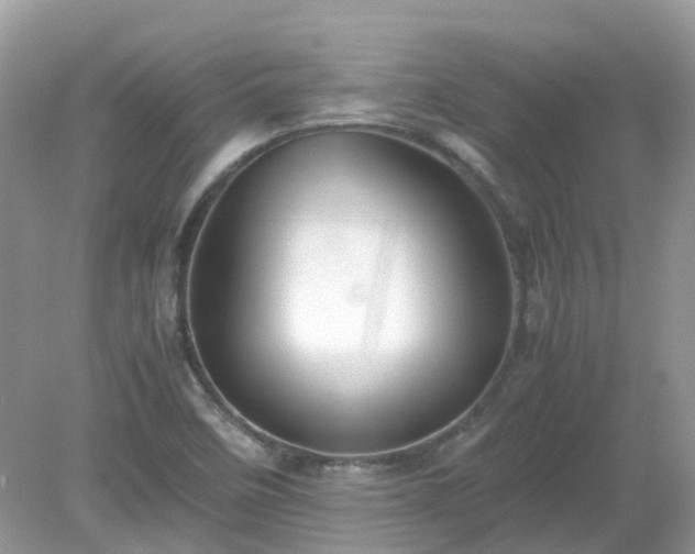 X0000079301458200611251700