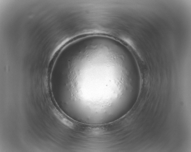 X0000079301460200611251700