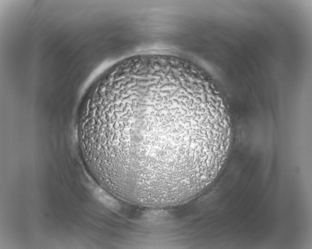 X0000079301462200611251700