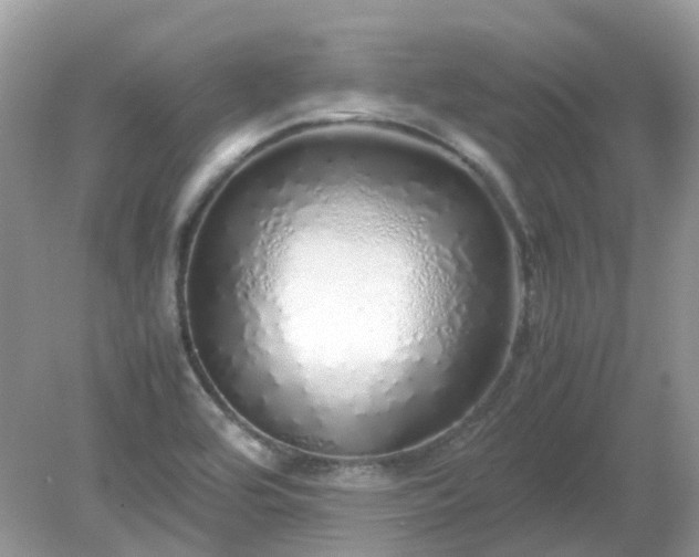 X0000079301464200611251700