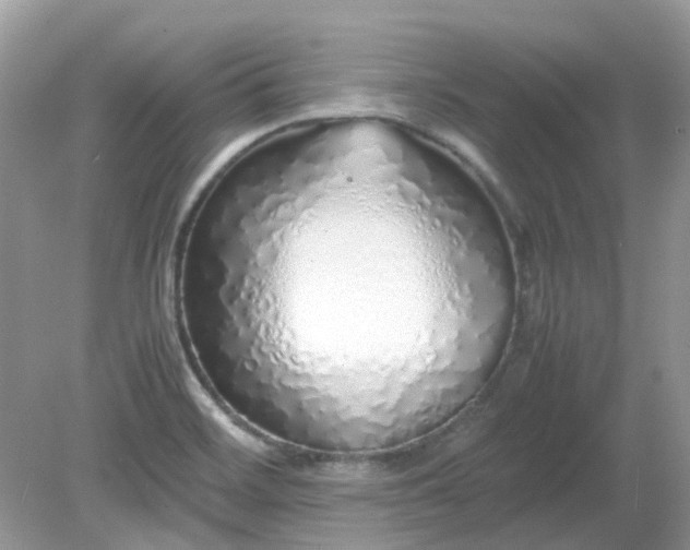 X0000079301468200611251700