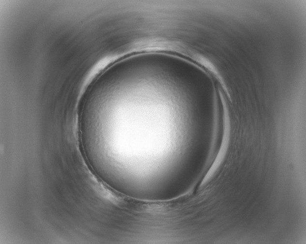 X0000079301472200611251700