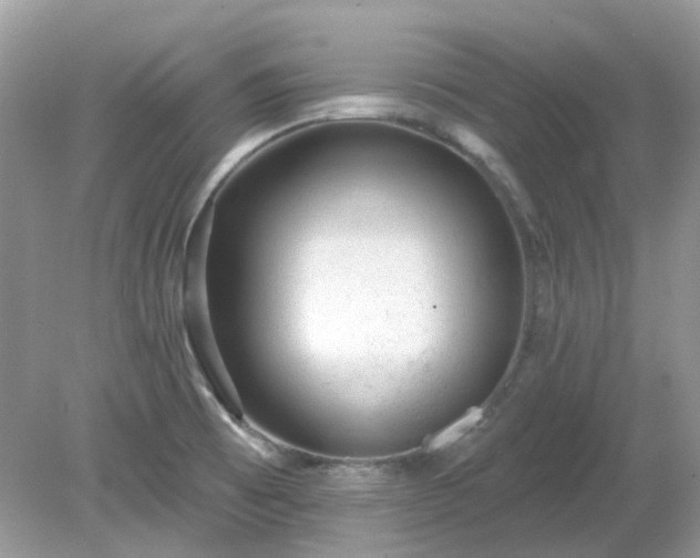 X0000079301473200611251700