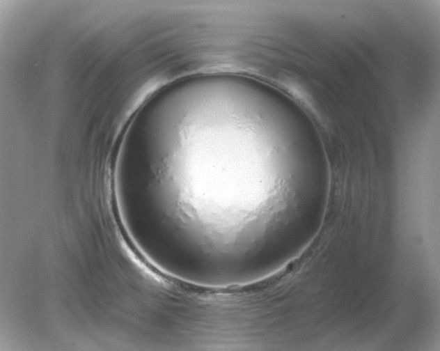 X0000079301476200611251700