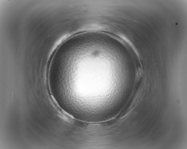 X0000079301477200611251700