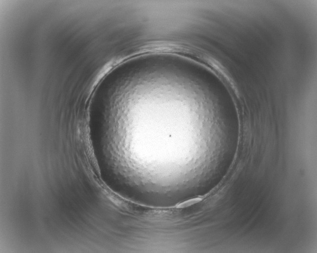 X0000079301481200611251700