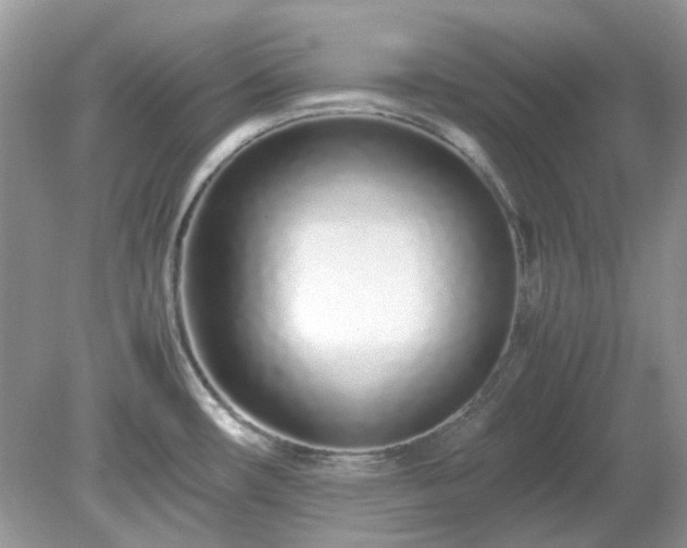 X0000079301482200611251700