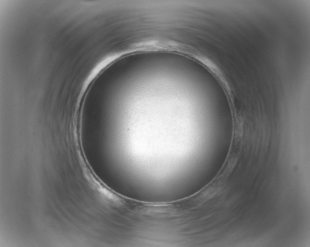 X0000079301486200611251700