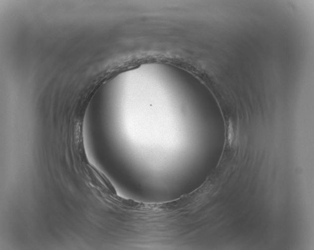 X0000079301492200611251659