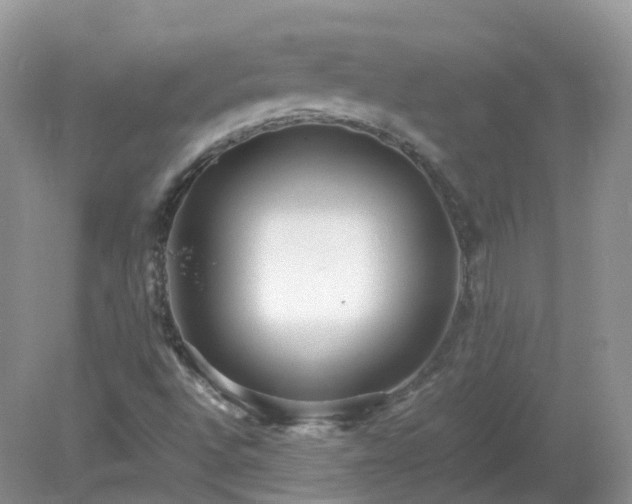 X0000079301496200611251659